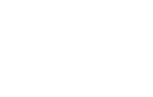 icone logo-03