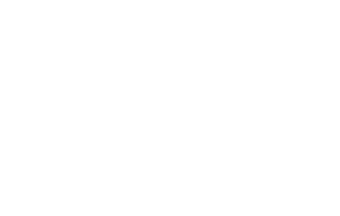icone logo-05